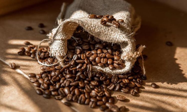 How to Choose the Perfect Coffee Beans for Your Brew?