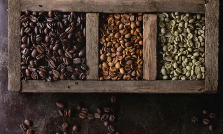 How to Choose the Perfect Coffee Beans for Your Brew?