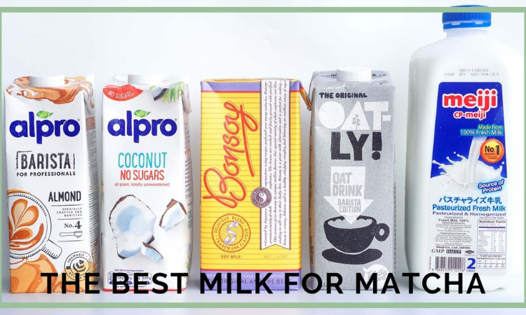 Best Milk for a Matcha Latte - Finding Your Ideal Choice